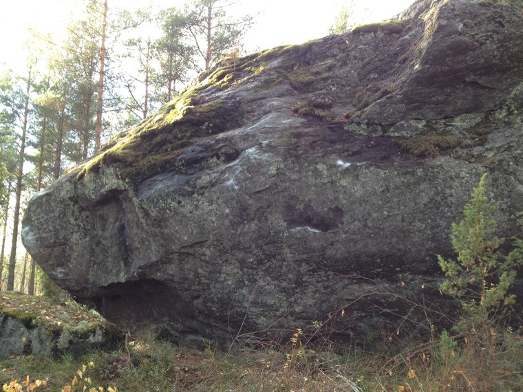 Iso kivi