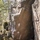 Tiny 7c548561d809