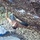 Tiny 1da6b8758d6a