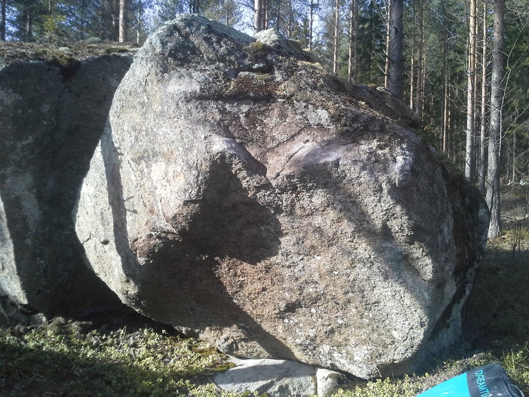 Naturalisti