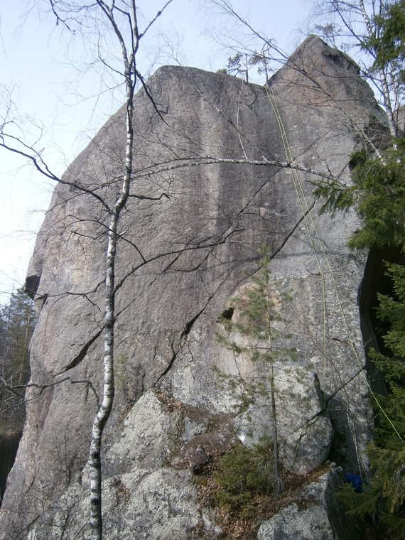 Stradarotta