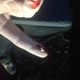 Small 812692ae714e