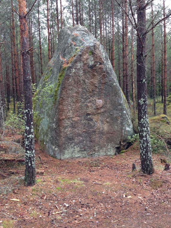 Kanelklipp
