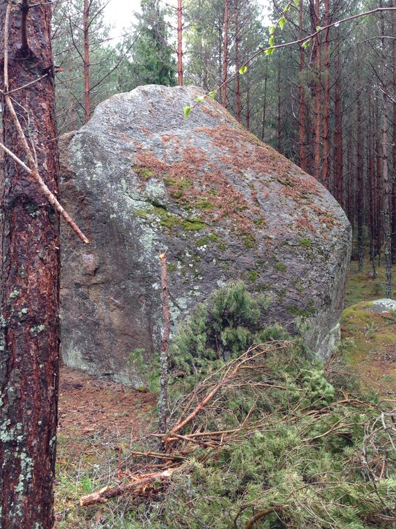 Kanelklipp