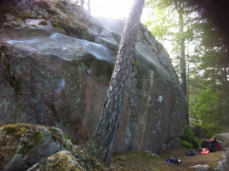 Vita Lejoninnan