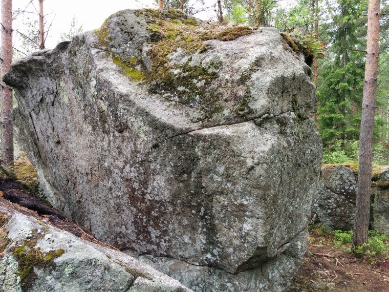 Lauluja metsästä