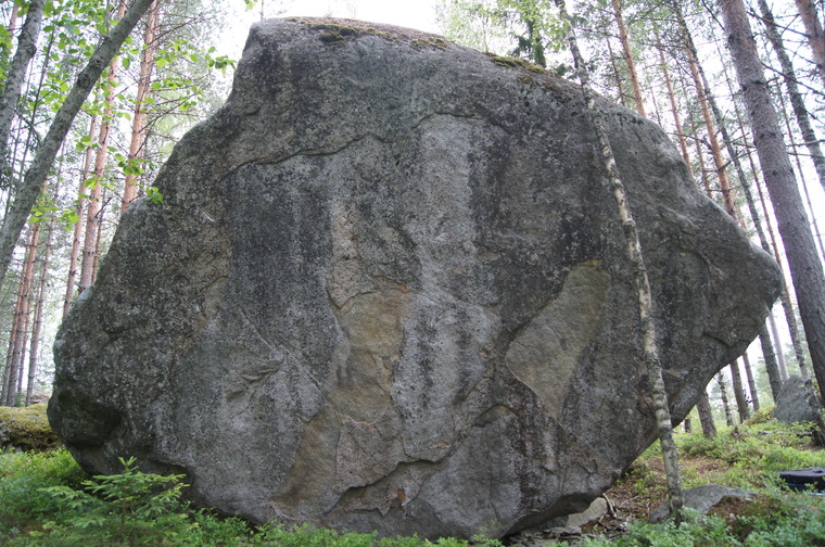 Smaragdi-kivi