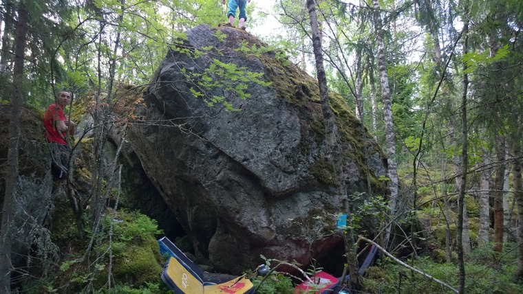 Sammalsade kivi