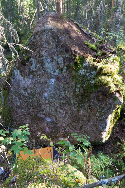 Puolikuu