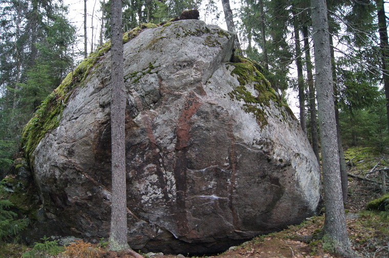 Sariinin hänkki