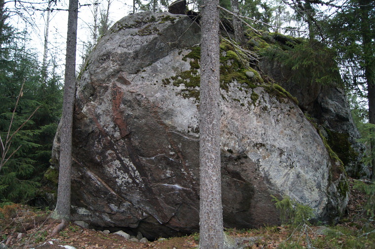 Sariinin hänkki
