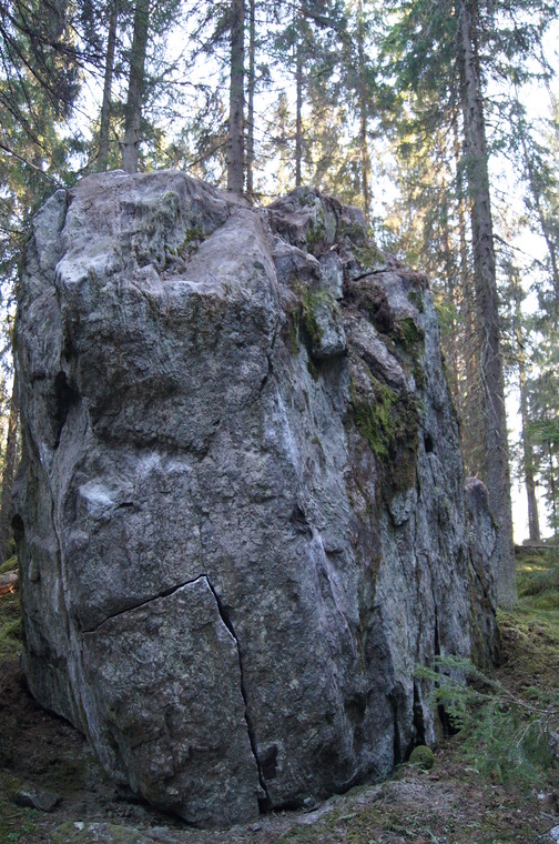 Bond-kivi