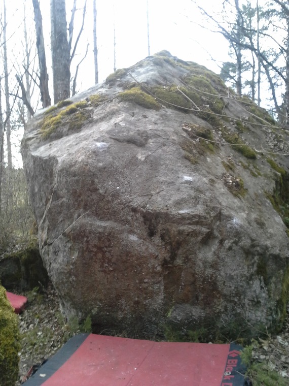 Bidoigt