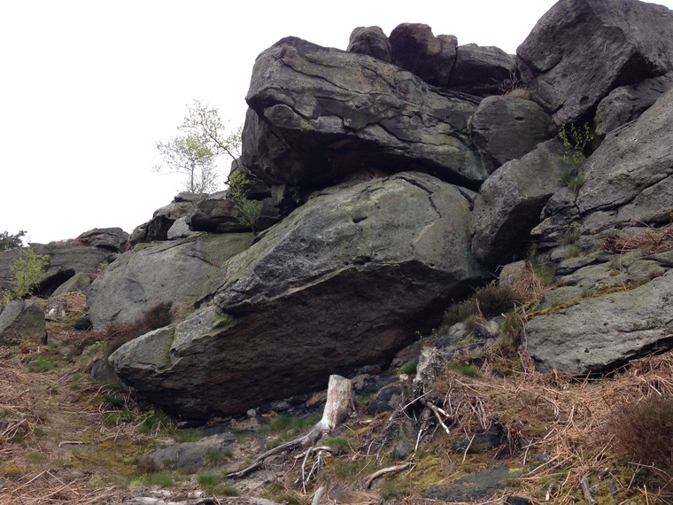 Twitcher's Hide