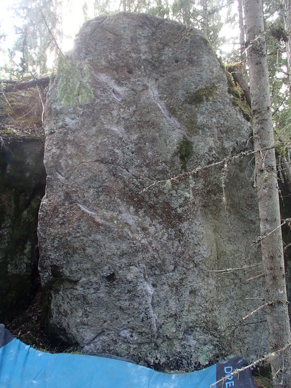 Rinnerypäs
