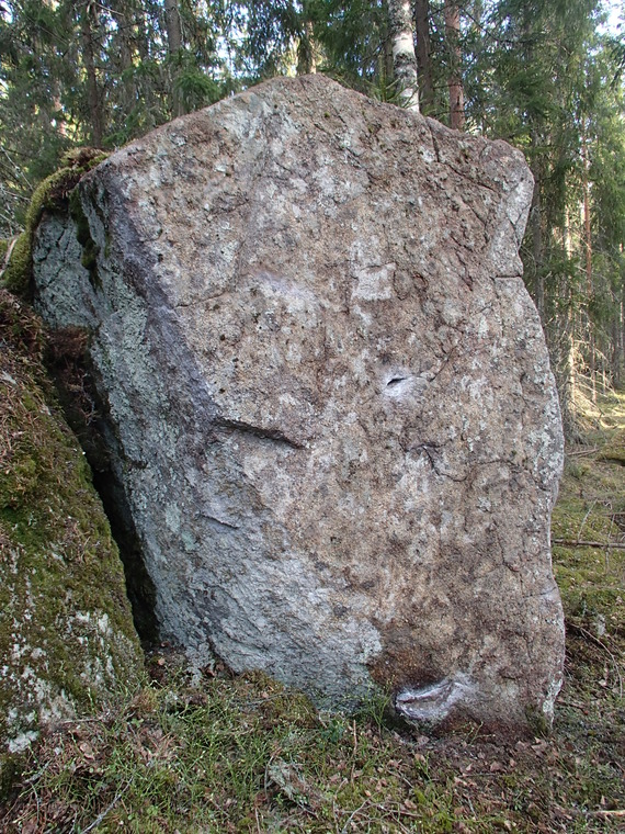 Rinnerypäs