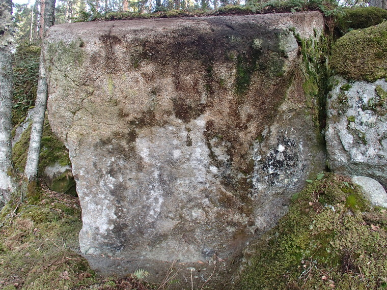 Rinnerypäs
