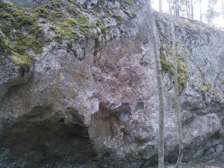 Uusi sektori