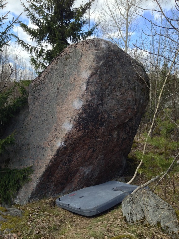 Kivi