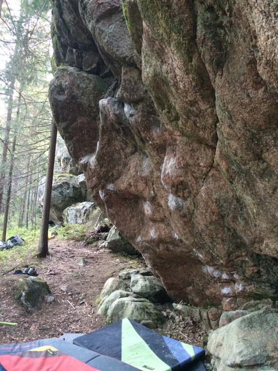 Seinä