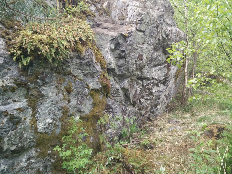 Kääntöpiiri