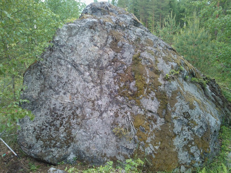 Kääntöpiiri