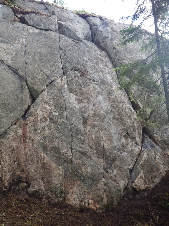 North Face