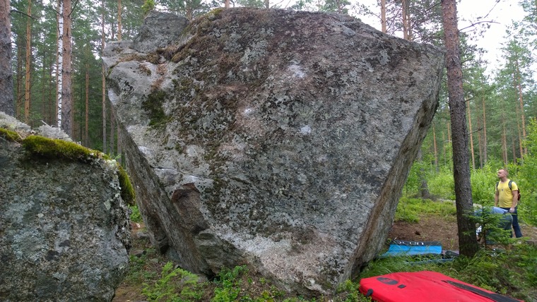 Lauluja metsästä