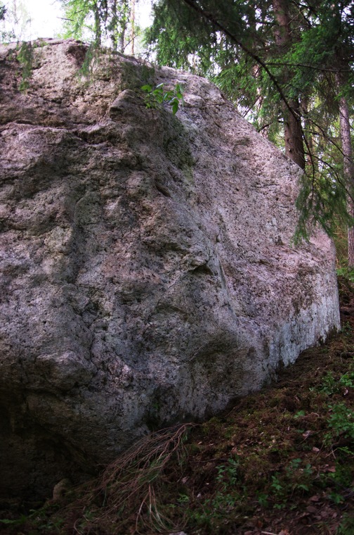 Harjula