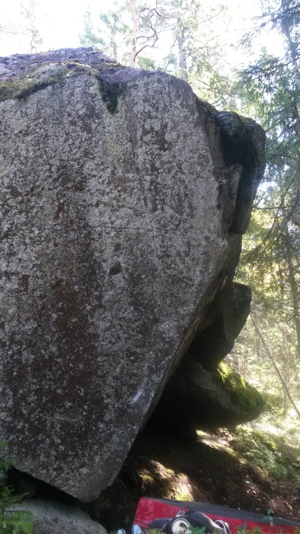 Hirvisuo