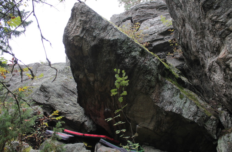 Sidharta