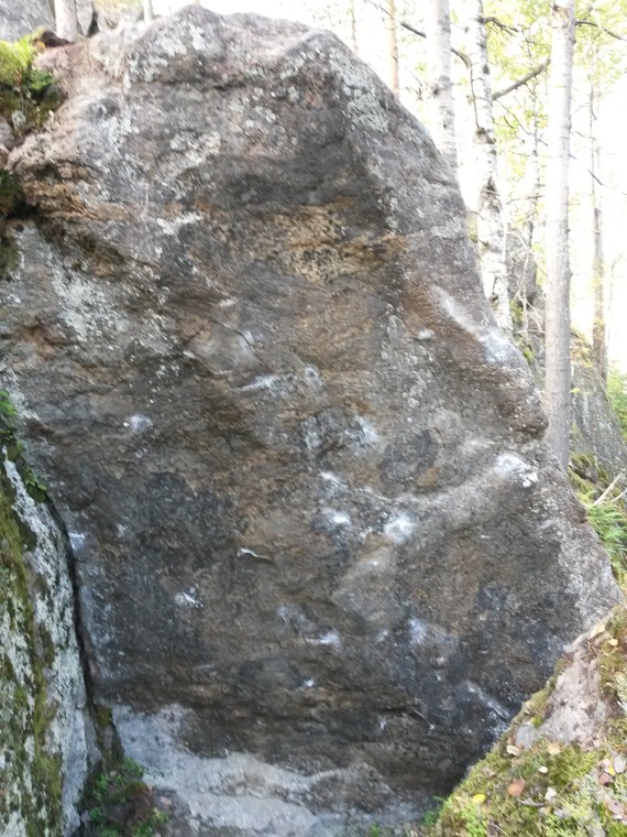 Kuokkanen