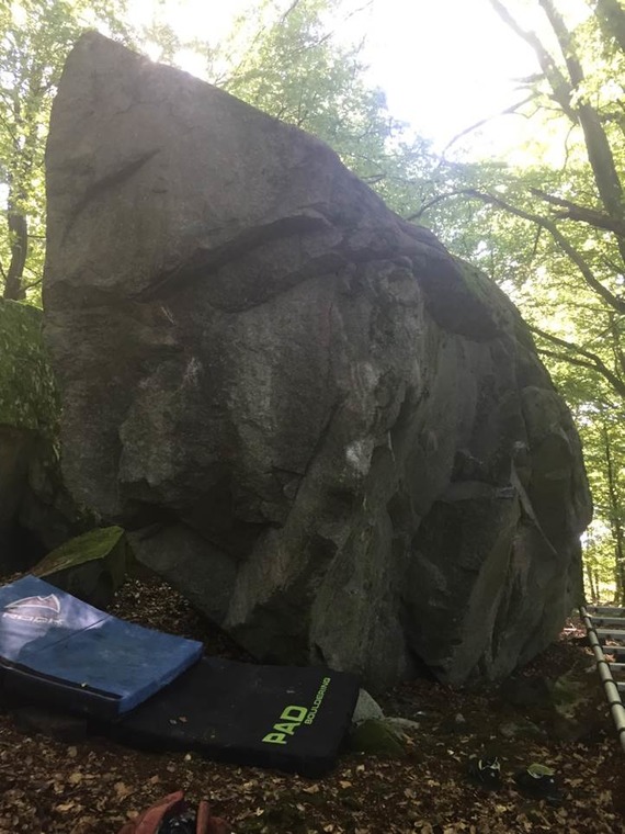 Jätten i skogen