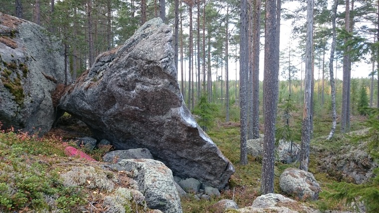 Röset