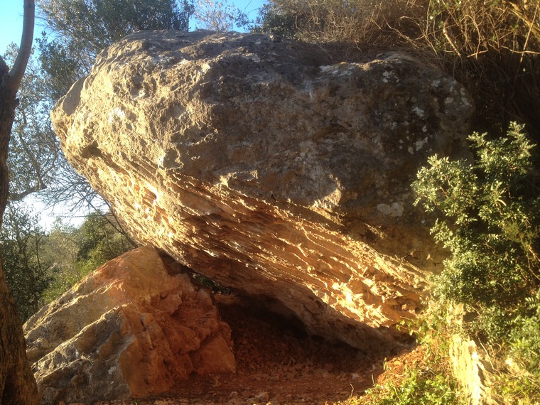 Voglie d'autunno