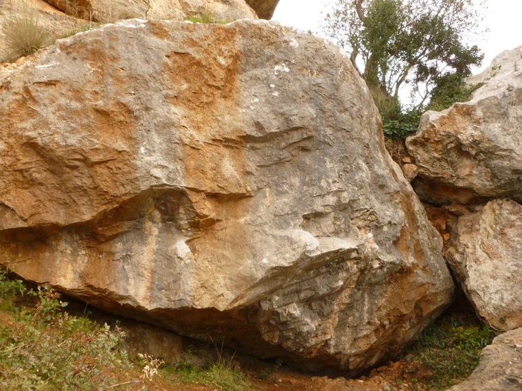 Gronchi
