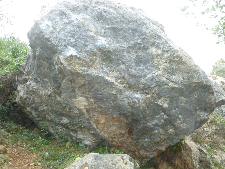 Zunami