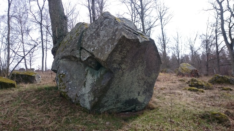 Alfons