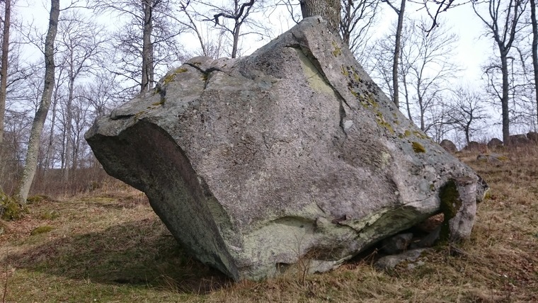 Alfons