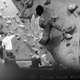 Small f7a85b8d3d75