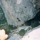 M Dayan