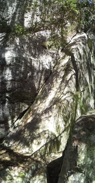 Karhuhylly