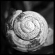 Small c397aa7942b4