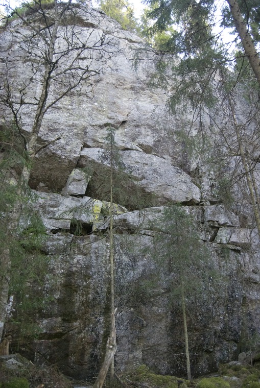 Sektori Kevyin linja