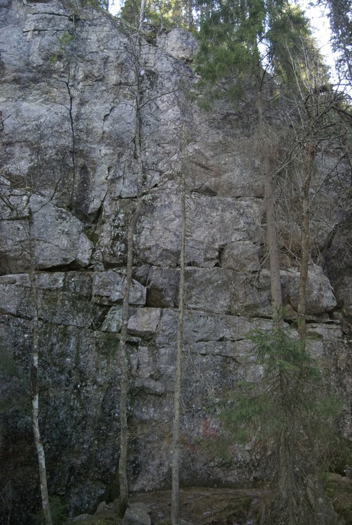 Sektori Kevyin linja