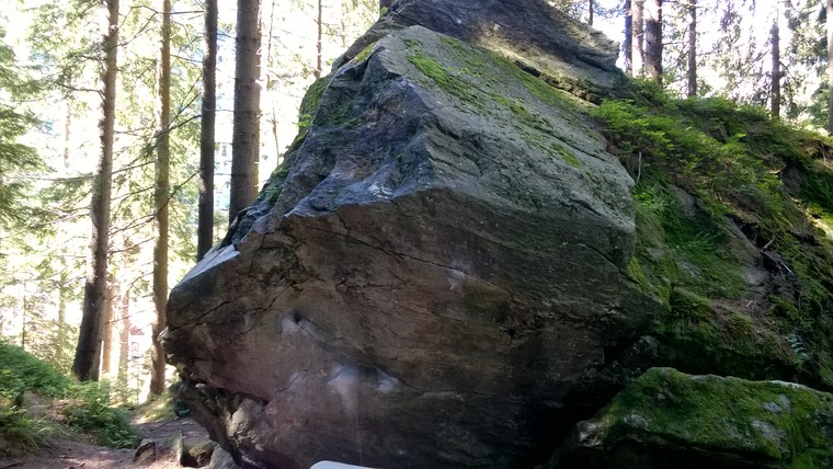 Wolferl