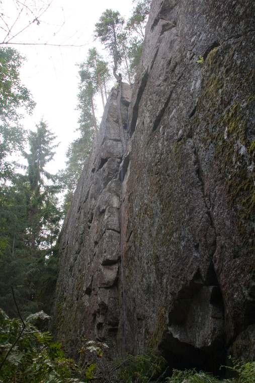 Linnavuori