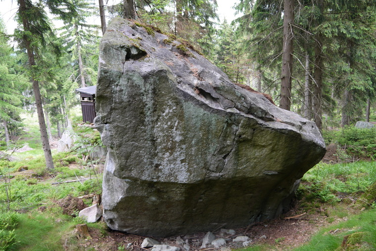 Swiss