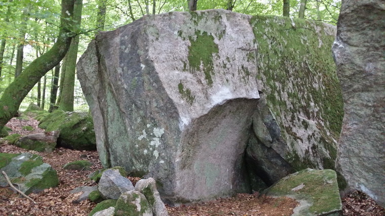 Jätten i skogen