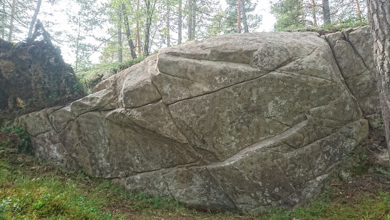 Edderkopphenget